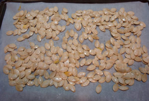 pumpkin seeds