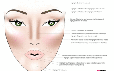 How to Contour and Highlight Your Face