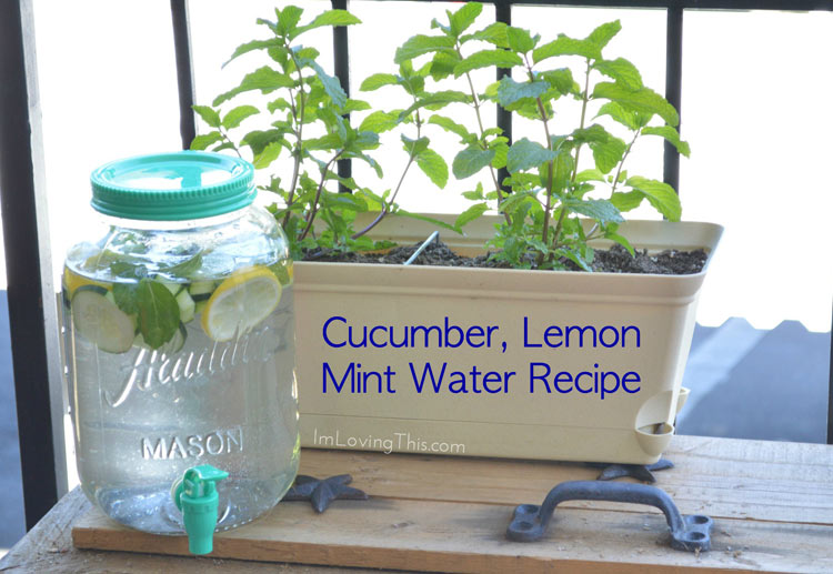 Cucumber, Lemon and Mint Water Recipe