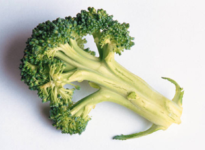 Top 5 Healthiest Dark Green Vegetables