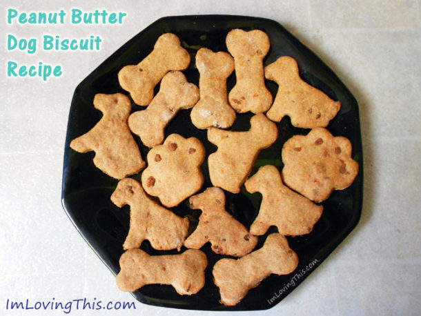Peanut Butter Dog Biscuit Recipe Easy Dog Treat Recipe Peanut Butter Dog Treat Recipe 610x458