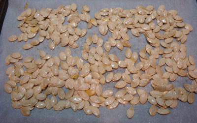 Pumpkin Seeds Recipe