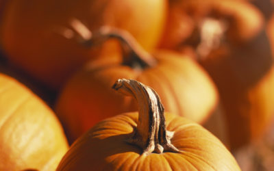 DIY Pumpkin Face Mask